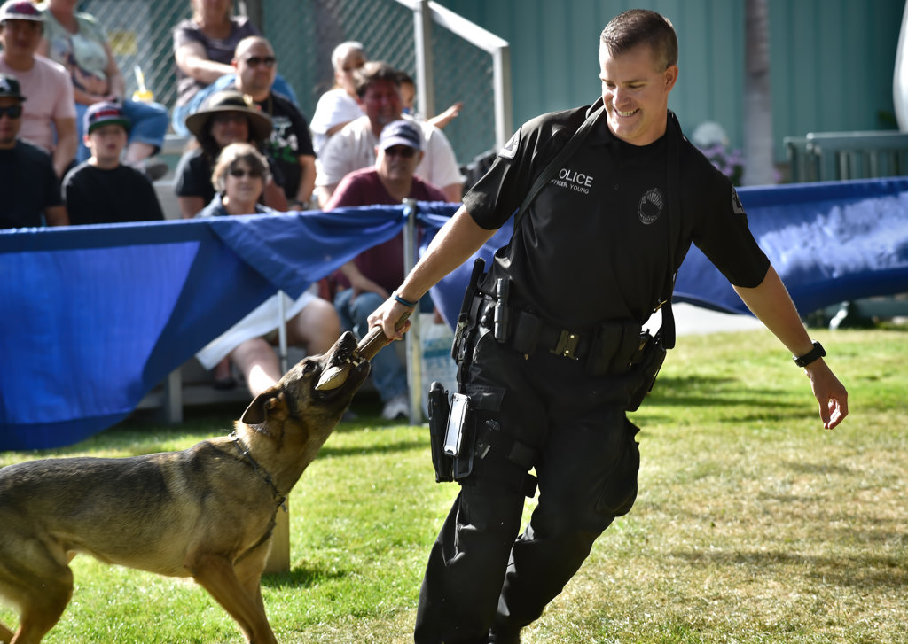 k9 police dog stuffed animal