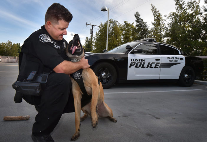 Tustin police welcome K9 Roky, mourn passing of K9 Riggs - Behind the Badge