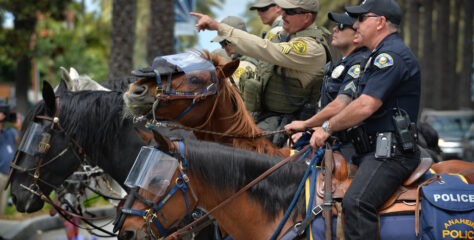 Best of BTB: Vargas: Law enforcement prevented Trump protests in Anaheim from veering out of control