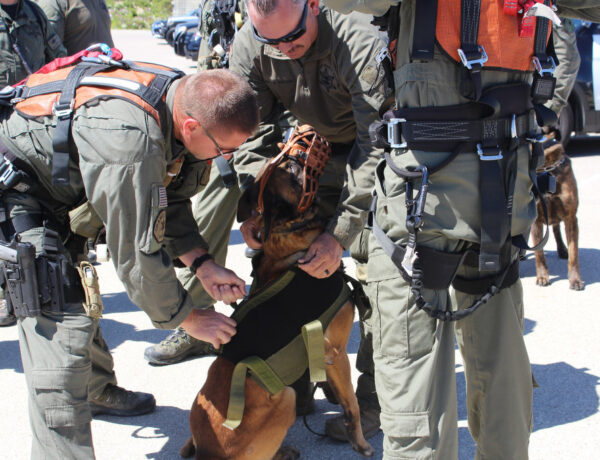 Best of BTB: OCSD hosts annual helicopter training exercise for K9s