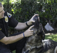 Best of BTB: Hero K9 Bruno’s handler starts training new partner