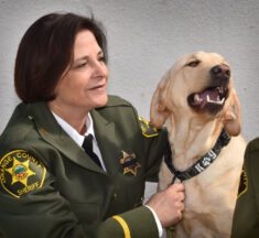 Best of BTB: O.C. Sheriff’s Department adds two new members to agency – the four-legged kind